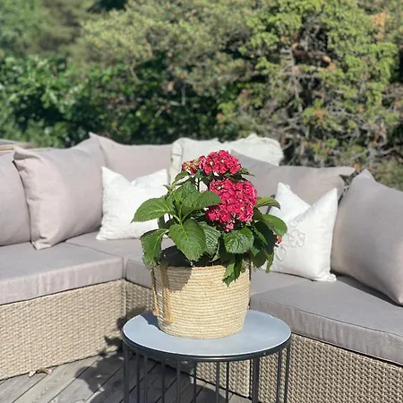 Sorlandsidyll, Risor Vakantiehuis *